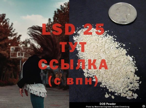 a pvp Пересвет