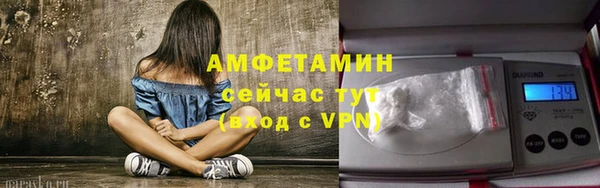 a pvp Пересвет