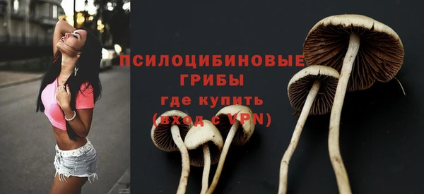стафф Осинники