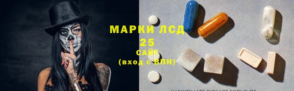 a pvp Пересвет