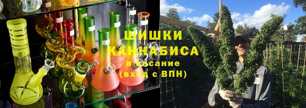 a pvp Пересвет