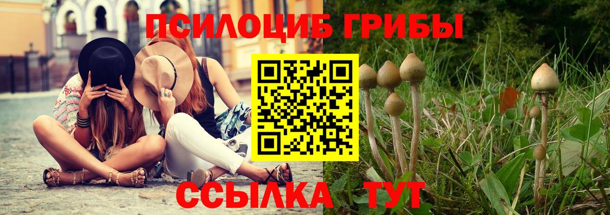 Галлюциногенные грибы мицелий  Иркутск 