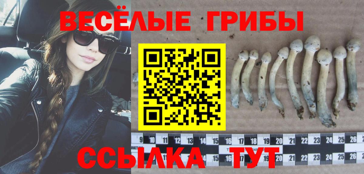 Псилоцибиновые грибы прущие грибы  Галлюциногенные грибы Psilocybe  Иркутск  Вход с VPN 
